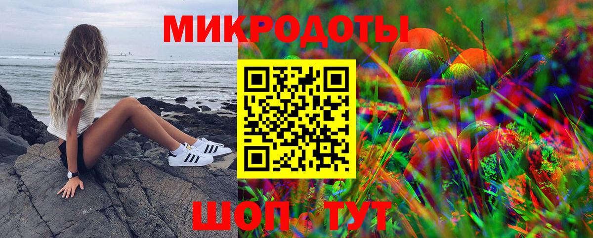 Галлюциногенные грибы Cubensis Домодедово