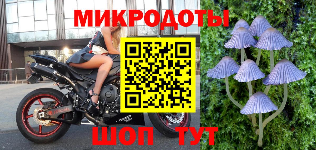 Псилоцибиновые грибы Cubensis  Псилоцибиновые грибы прущие грибы  где продают   Домодедово  Вход с VPN 